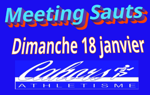 Meeting Sauts